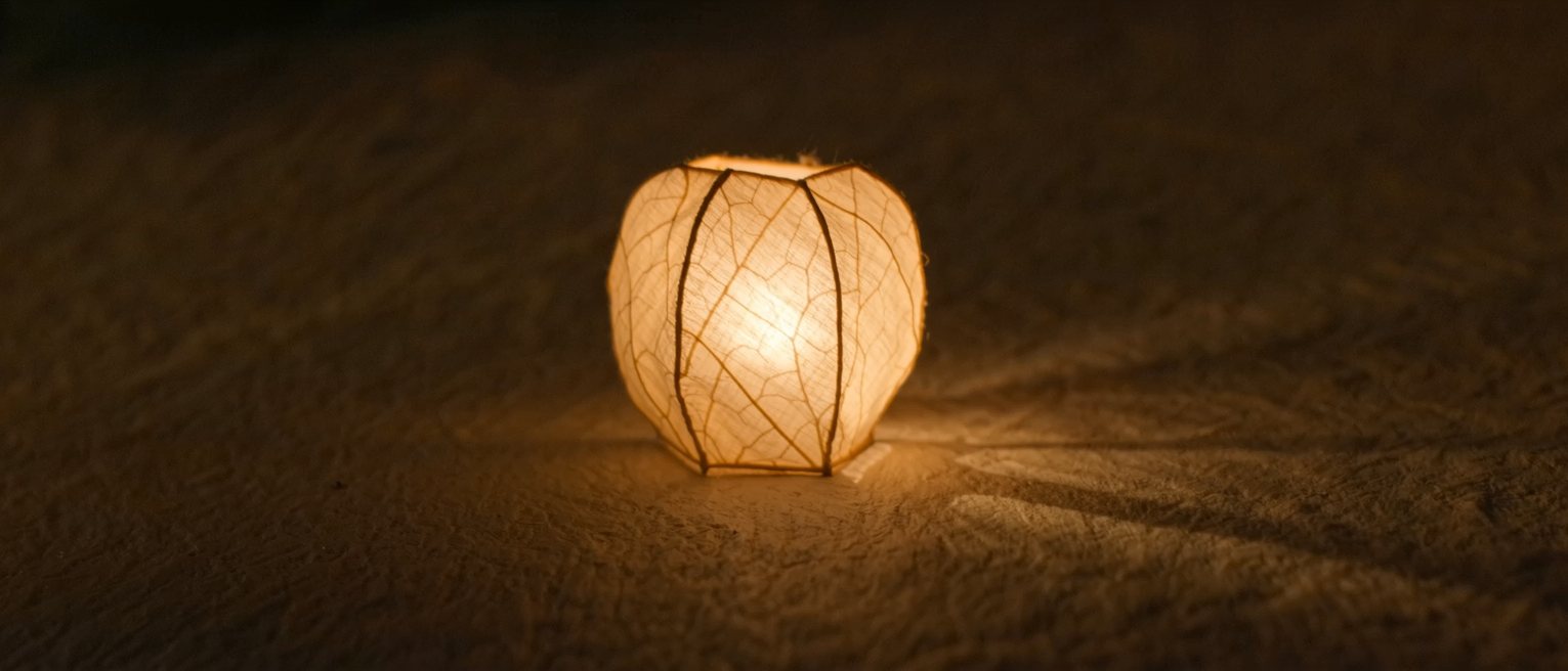 a paper lantern lit from within, its frame showing faintly through the skin