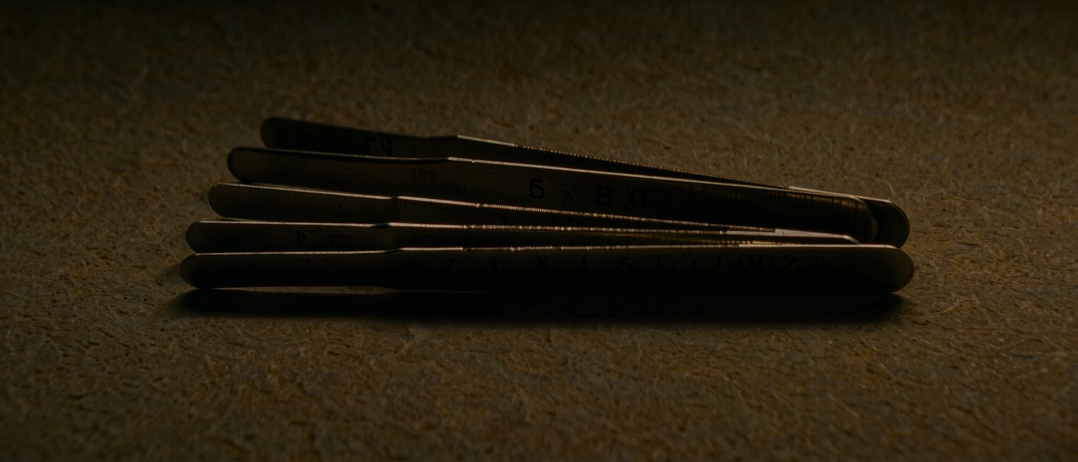 a set of engineer's feeler gauges fanned open from their pivot, each leaf a different thickness, every leaf smooth and unstamped