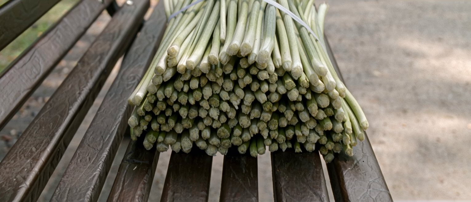 a bound bunch of cut flowers lying on a bench, every stem cut level