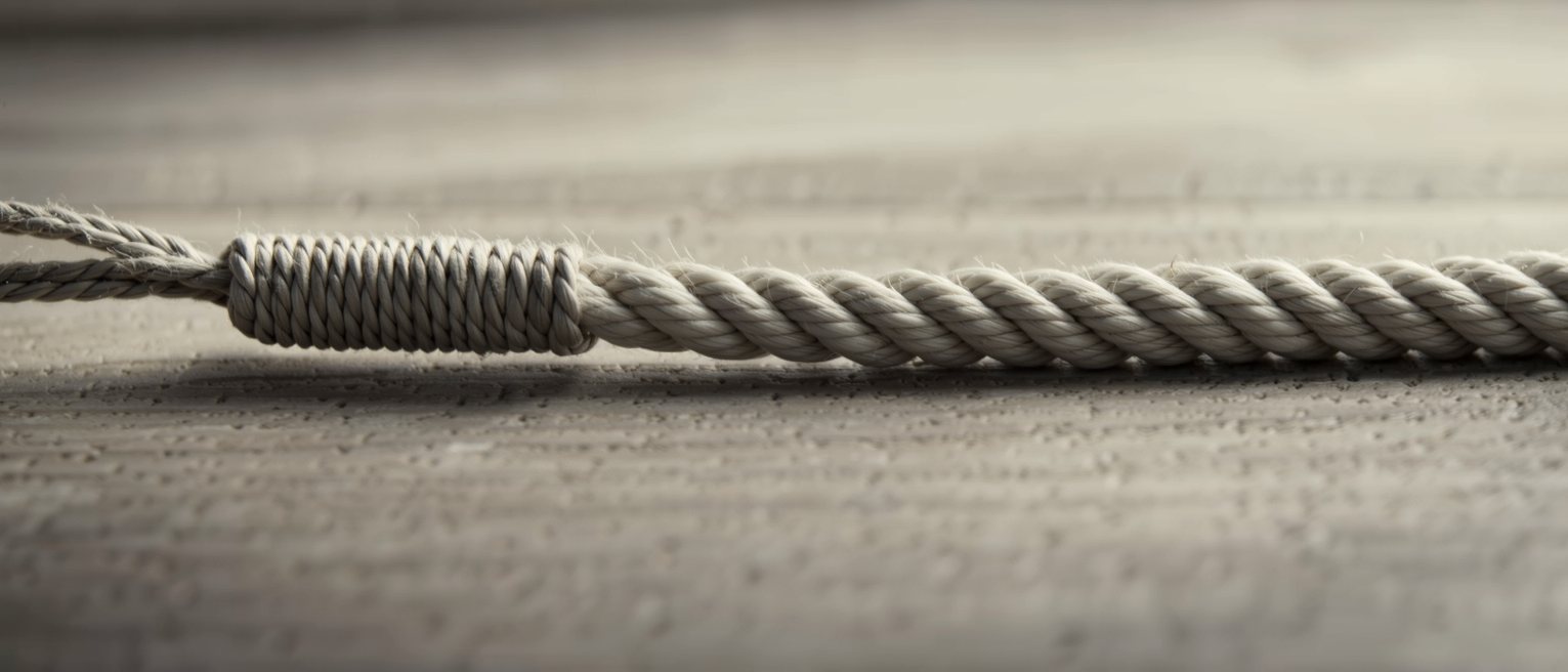 a length of rope with one end whipped and finished, the other left raw