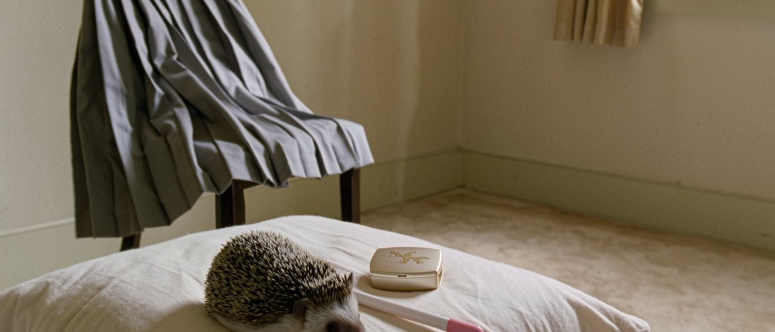 a bedroom seen close with a small plush hedgehog on the pillow, a plastic magic wand and a compact with the powder used up, a pleated uniform skirt folded on the chair, the curtain soft behind