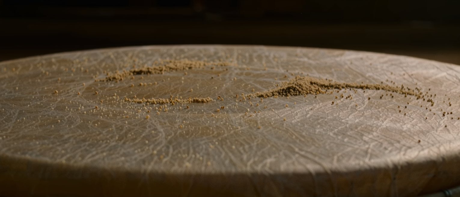 the stretched skin of a drum with a few grains of sand resting on it, shifted into a pattern