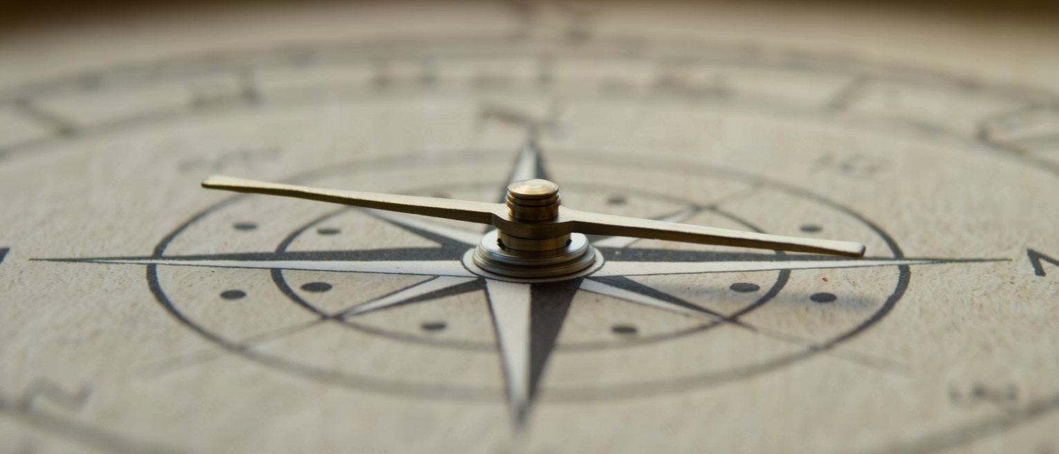 a compass needle settling, still swinging a degree either side of north