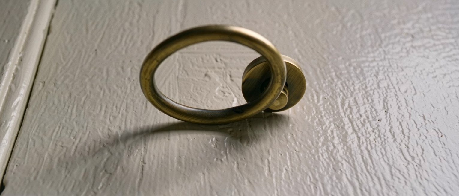 a brass door knocker on a painted door, the knocker lying at rest