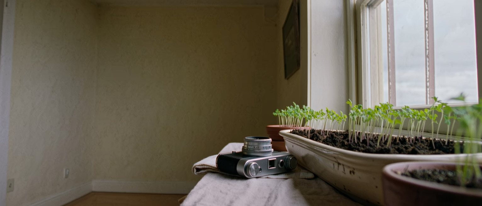 a small flat with a row of seedlings in pots on the windowsill, a film camera on the table beside a folded cloth, everything in its place