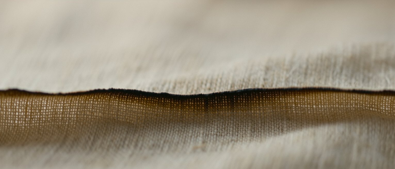 a charred hem of linen, the scorch line clean and the weave still holding