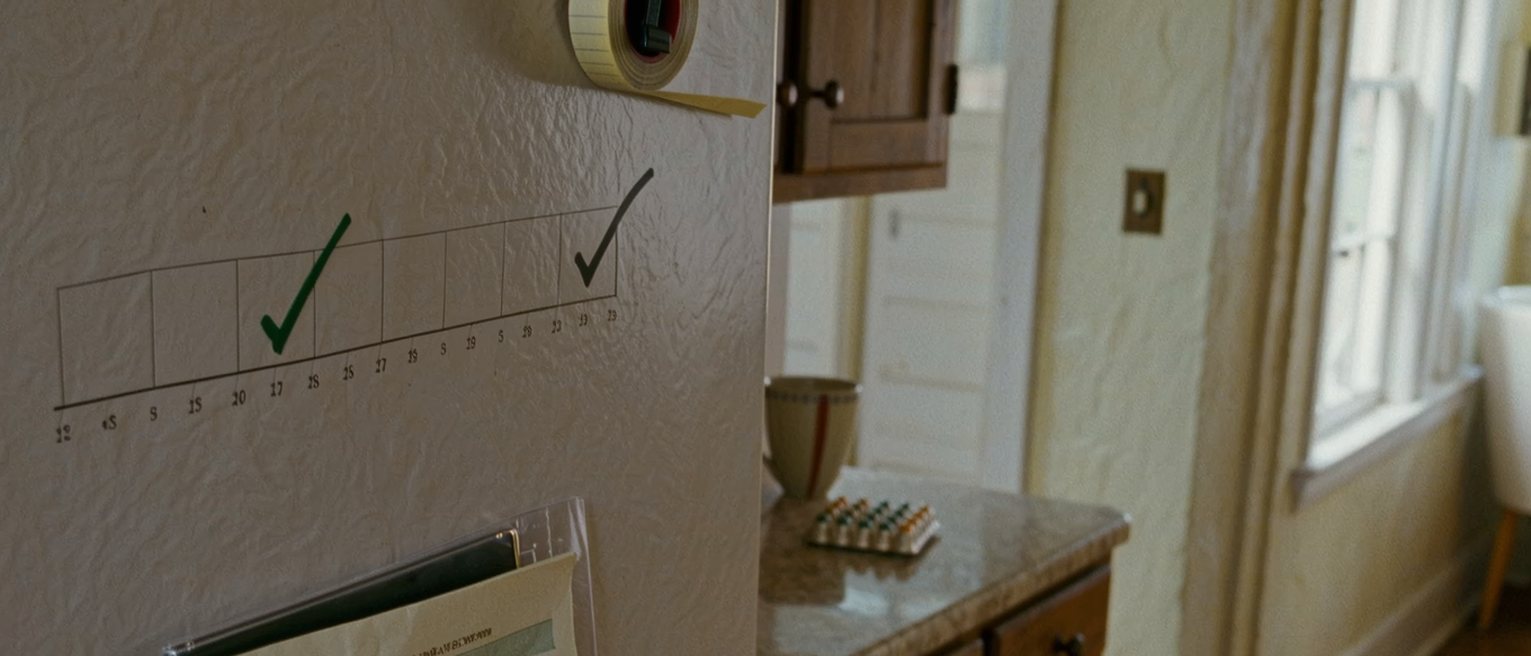 a kitchen seen close with a ruled rota taped to the fridge door and ticked in two colours, a clear folder of insurance papers propped below it, a pill organiser and a cup on the counter, the window soft beyond