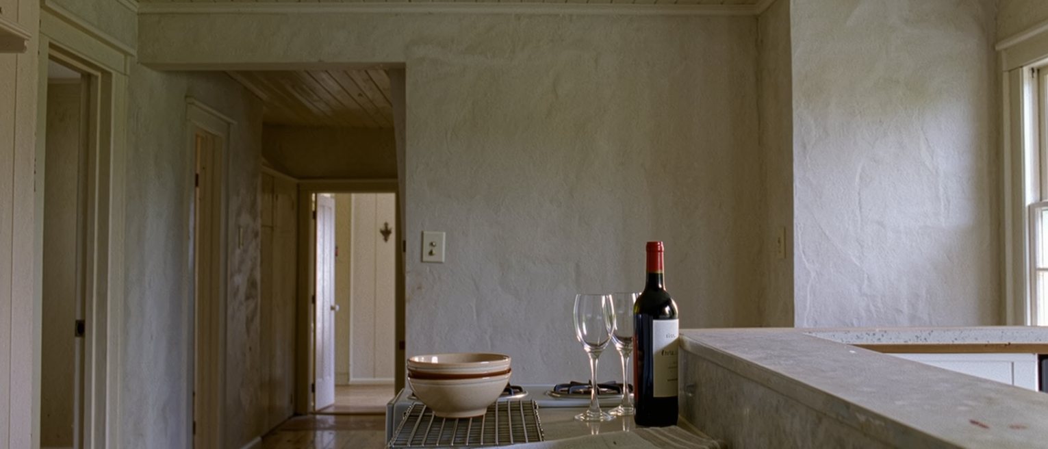 a kitchen seen close with the counter wiped and clear, one bowl in the rack, a folded cloth and a bottle of wine unopened with two glasses beside it, the stove close behind and the doorway soft beyond