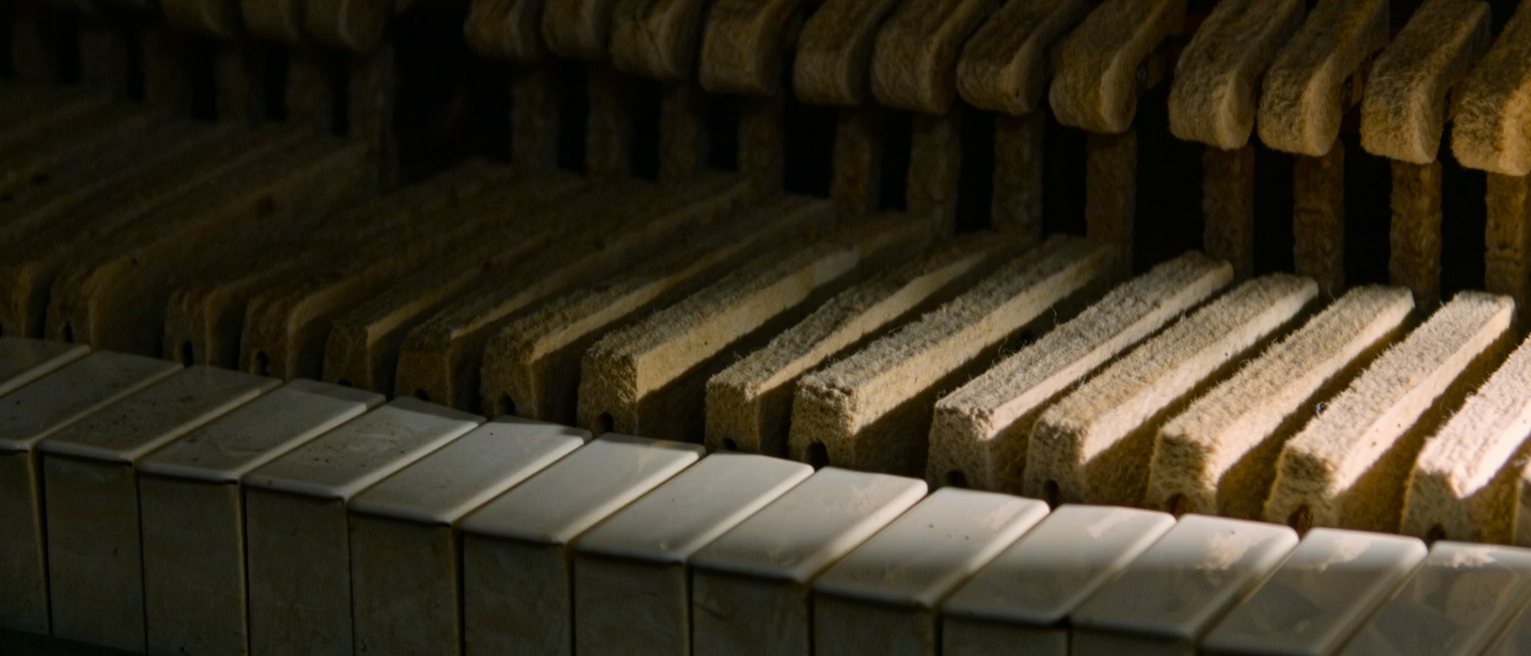 the hammers and dampers inside a piano, the felts worn where they strike