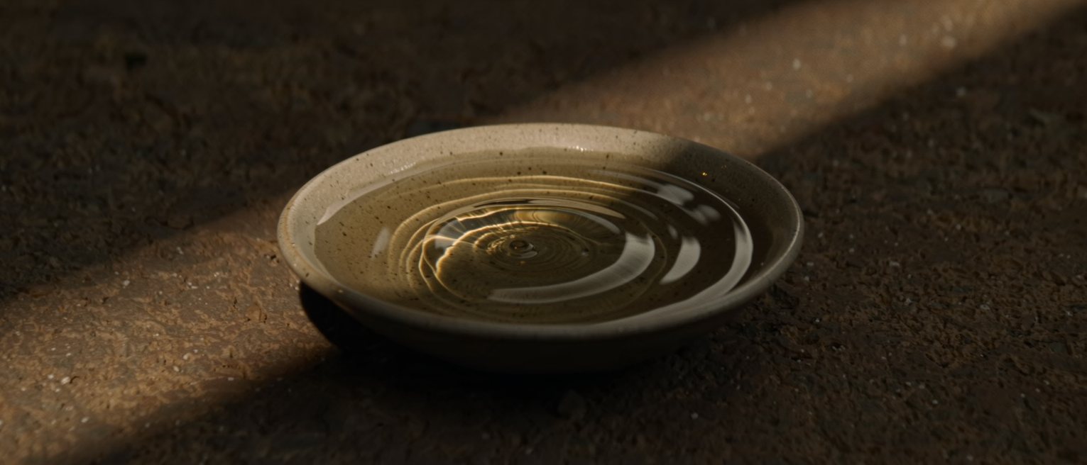 a shallow bowl of still water with a single ripple spreading outward from its centre, not yet reached the rim