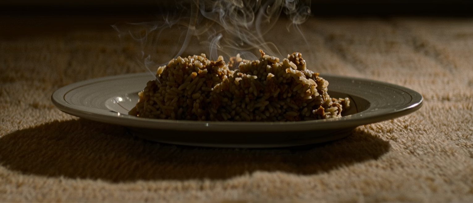 a plate of food set down and untouched, the steam just leaving it