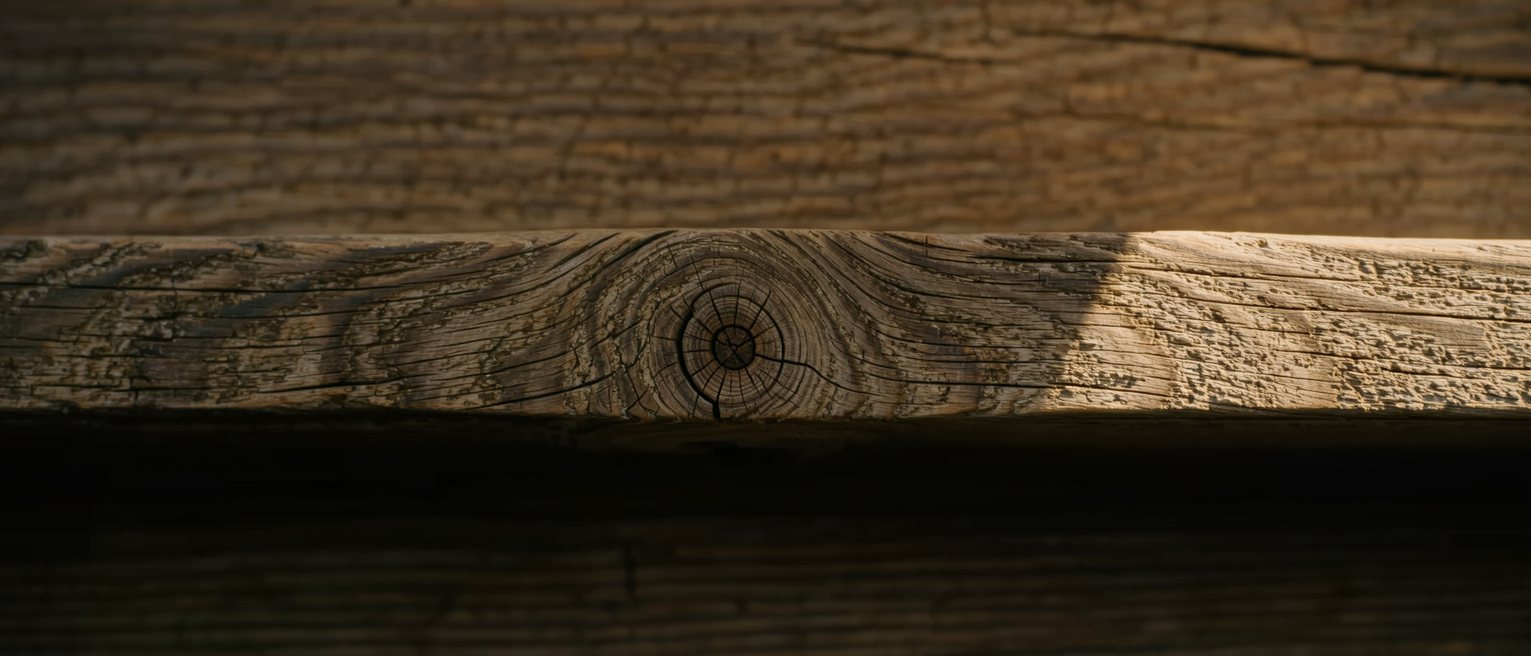 a beam with an old peg joint, the timber grown around the fixing